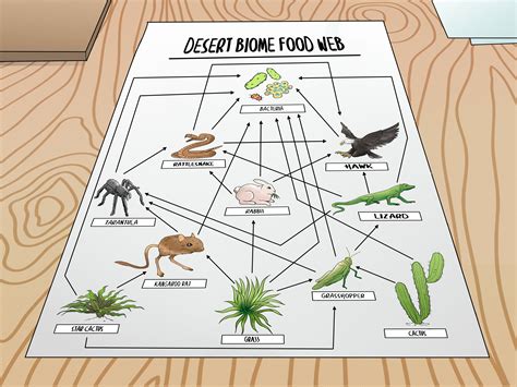 A food web is just a simplified diagram of numerous hand drawn animals and plants with arrows added to show the predator – prey linkages, or ‘who eats who’. Ask students to arrange their drawings of animals and plants evenly across an A3 page, filling it entirely with different species. Higher age groups can draw more complex food webs.